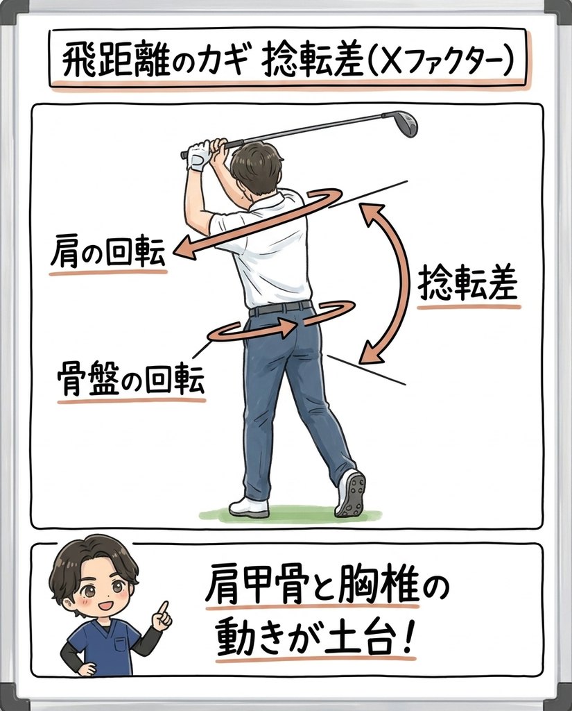 飛距離のカギとなる捻転差（Xファクター）。肩の回転と骨盤の回転の差の説明図